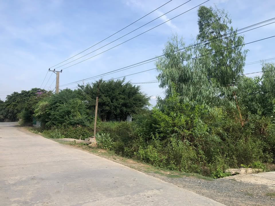 Bán Đất 739m² Cam Ranh - 2 Mặt Tiền Đường Rộng 1.55 Tỷ