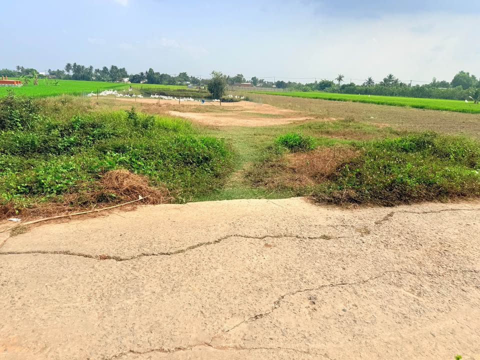 Đất nền Bình Thạnh Thủ Thừa 180m² 670 triệu - Sổ đỏ chính chủ