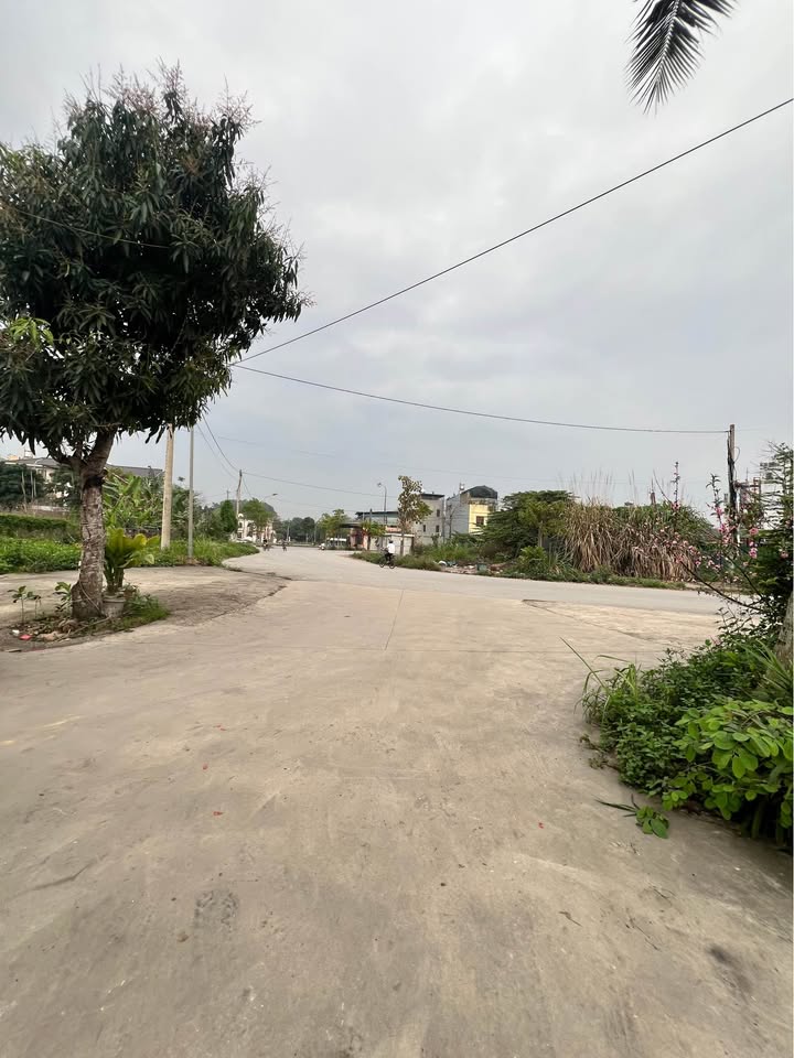 Đất Vàng Mặt Phố Nguyễn Bính, TP Thái Nguyên - 553m² Kinh Doanh Đa Ngành