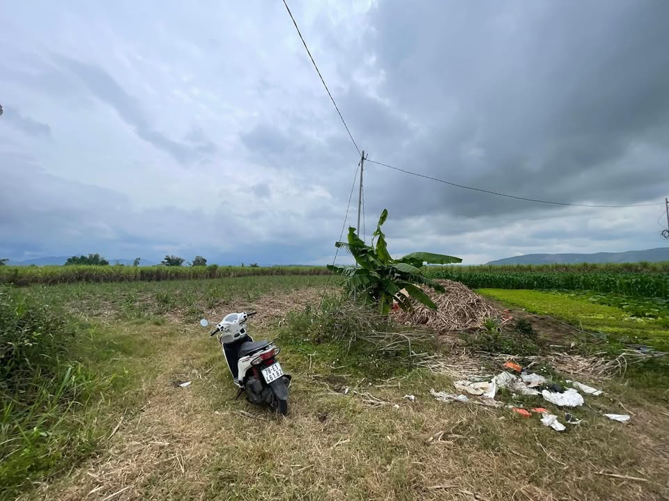 Đất Sổ Hồng Riêng - Sông Hinh 148m² Giá 190 Triệu