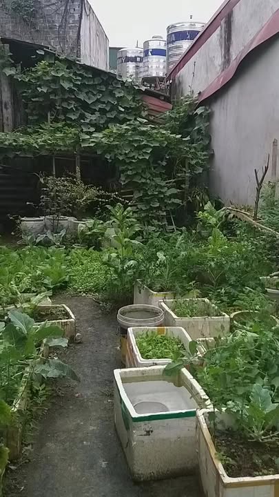 Bán Đất Tổ 15 Minh Khai, Hà Giang - 64m² Giá Hơn 1 Tỷ