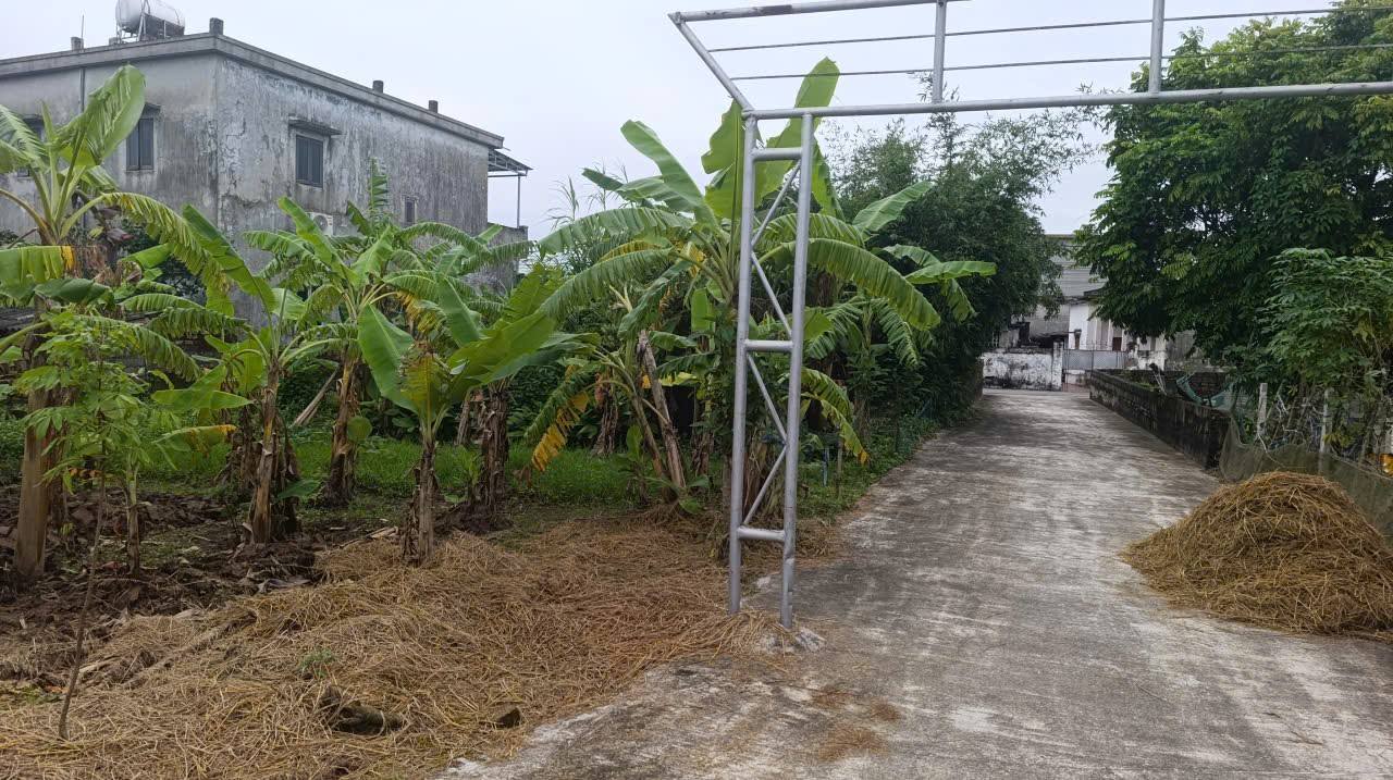 Đất Nền Đường Quang Trung, TP Thái Bình 150m² - Sổ Đỏ Vuông Vắn, Ô Tô Tránh Nhau