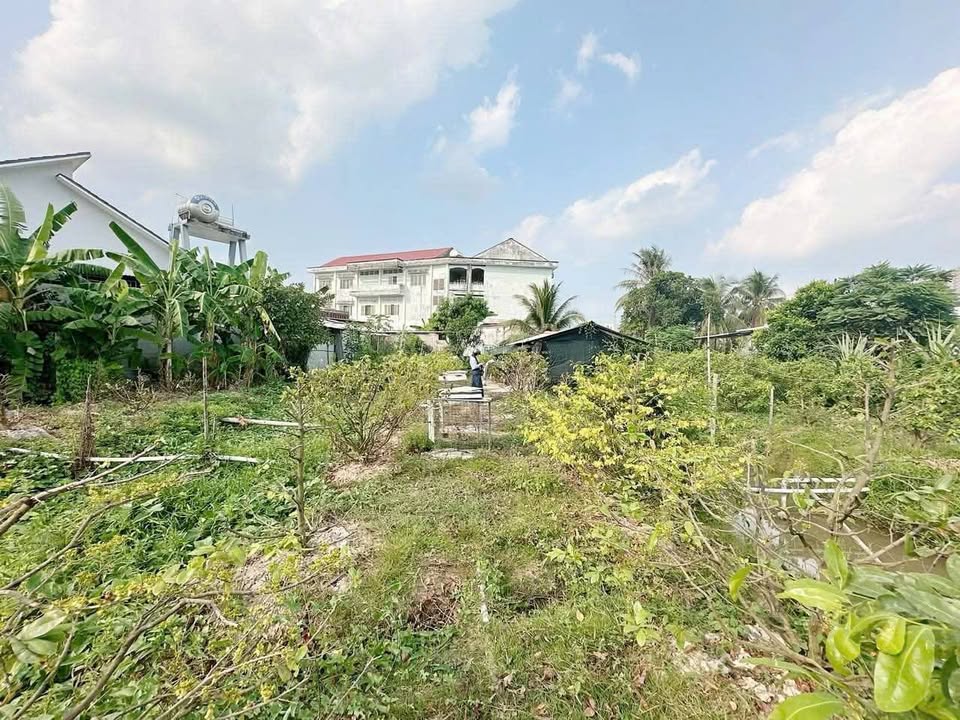 Đất Vĩnh Long 991m² - Giá Tốt Đường Xuống Bến Phà Mỹ Thuận Cũ