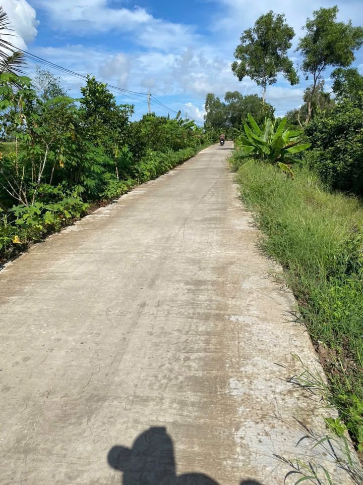 Bán Đất Nền Sổ Hồng Chính Chủ Xã Khánh Thuận, U Minh - 16m Ngang