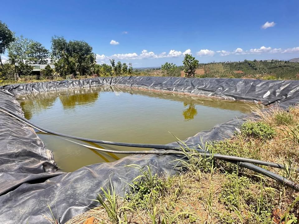 Đất Rẫy 2160m² Sổ Hồng Chính Chủ Giá 980 Triệu - Đắk Nông