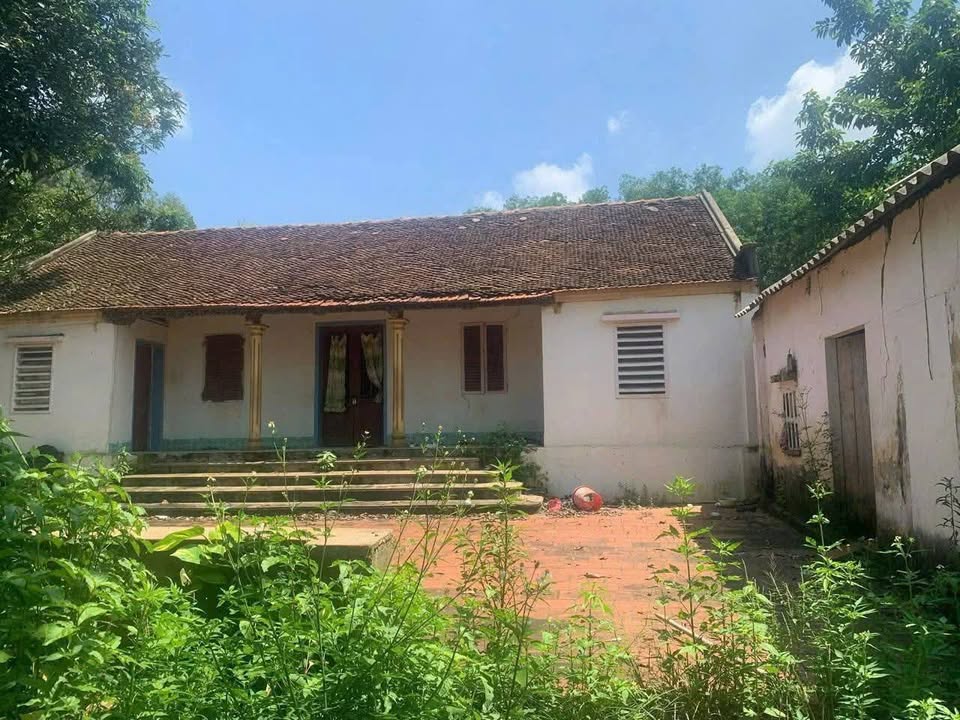 Đất Vườn 8517m² Tân Yên, Bắc Giang - Sổ Đỏ, Giá Tốt