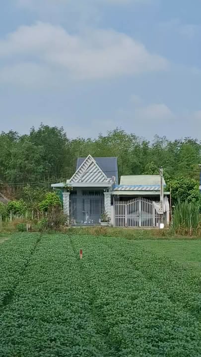 Đất Full Thổ Cư Trảng Bàng 115m² - Sổ Hồng Sẵn Sàng - 650 Triệu