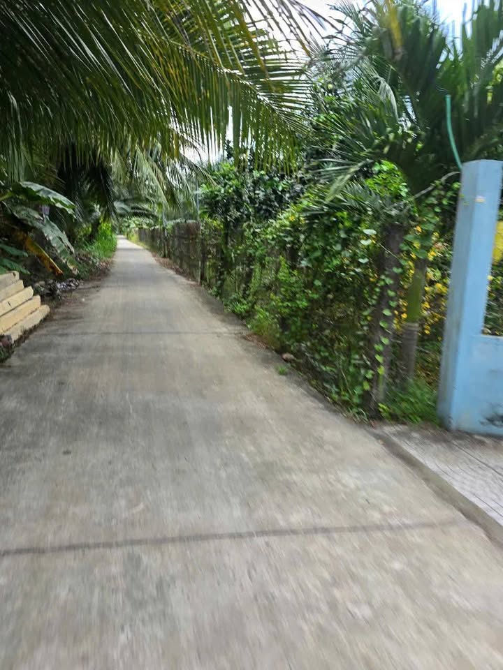 Bán Đất Vườn 500m² Xã Sơn Đông, Bến Tre - Giá Tốt 900 Triệu