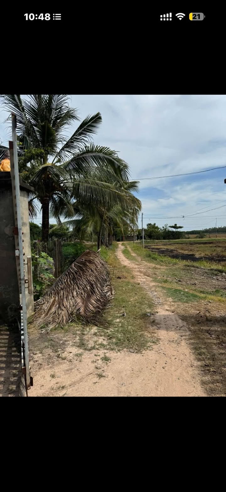 Bán Gấp Đất Vườn 2800m² Châu Thành, Tây Ninh - Giá 450 Triệu