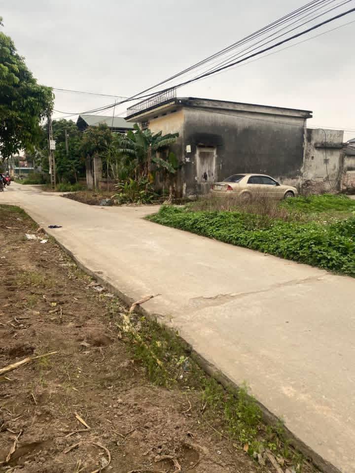 Đất nền Lương Tài, Bắc Ninh 100m² - Tiềm năng tăng giá vượt trội!