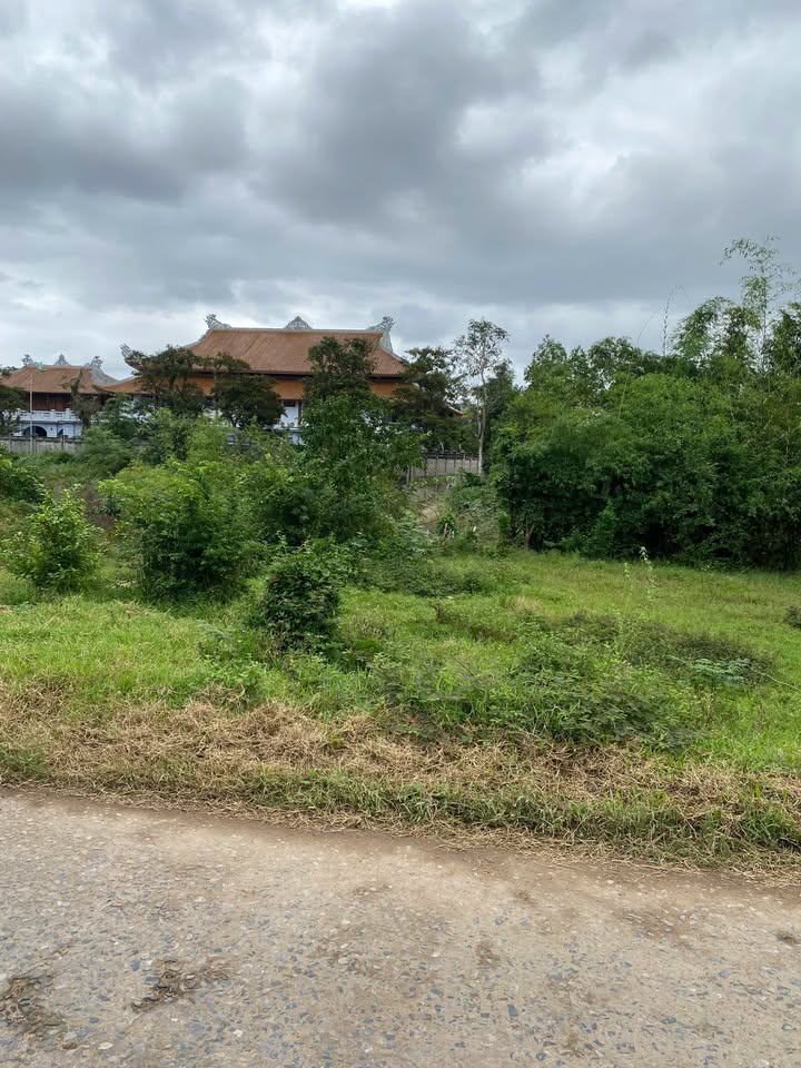 Đất Vườn Triệu Phong 580m² Giá Đầu Tư - Sẵn Sàng Sang Tên