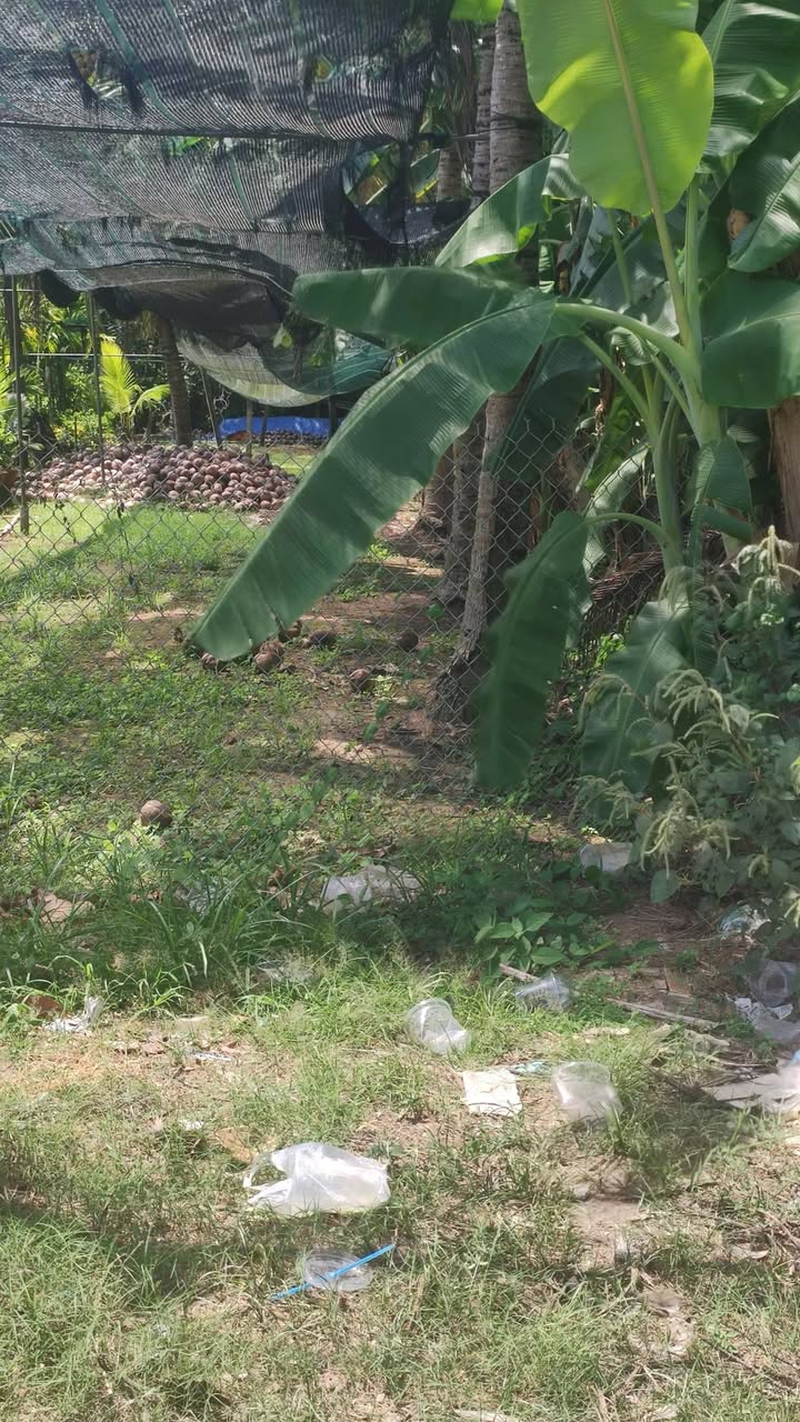 Đất Tỉnh lộ 882 Phước Mỹ Trung 400m² 2.8 tỷ - Sổ đỏ chính chủ