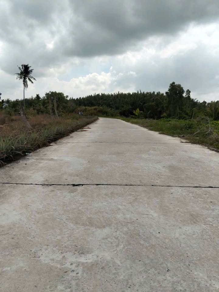 Bán Gấp 10.500m² Đất Vườn Xã Tân Hội, Kiên Giang - Giá 1.4 Tỷ