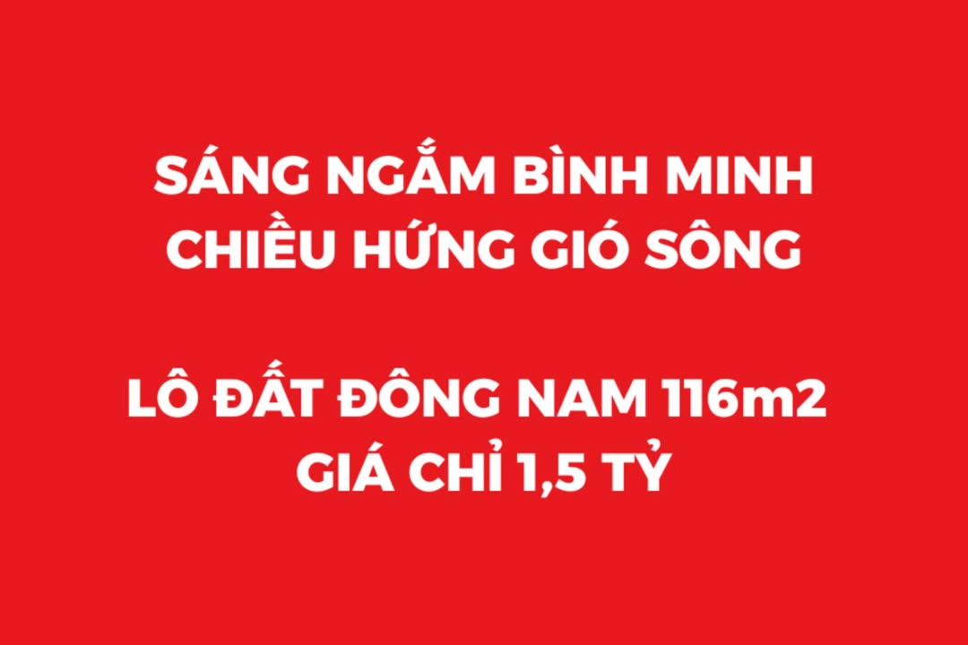 Đất nền Tân Minh, Hải Phòng 116m² - Hướng Đông Nam, Sổ đỏ sẵn sàng