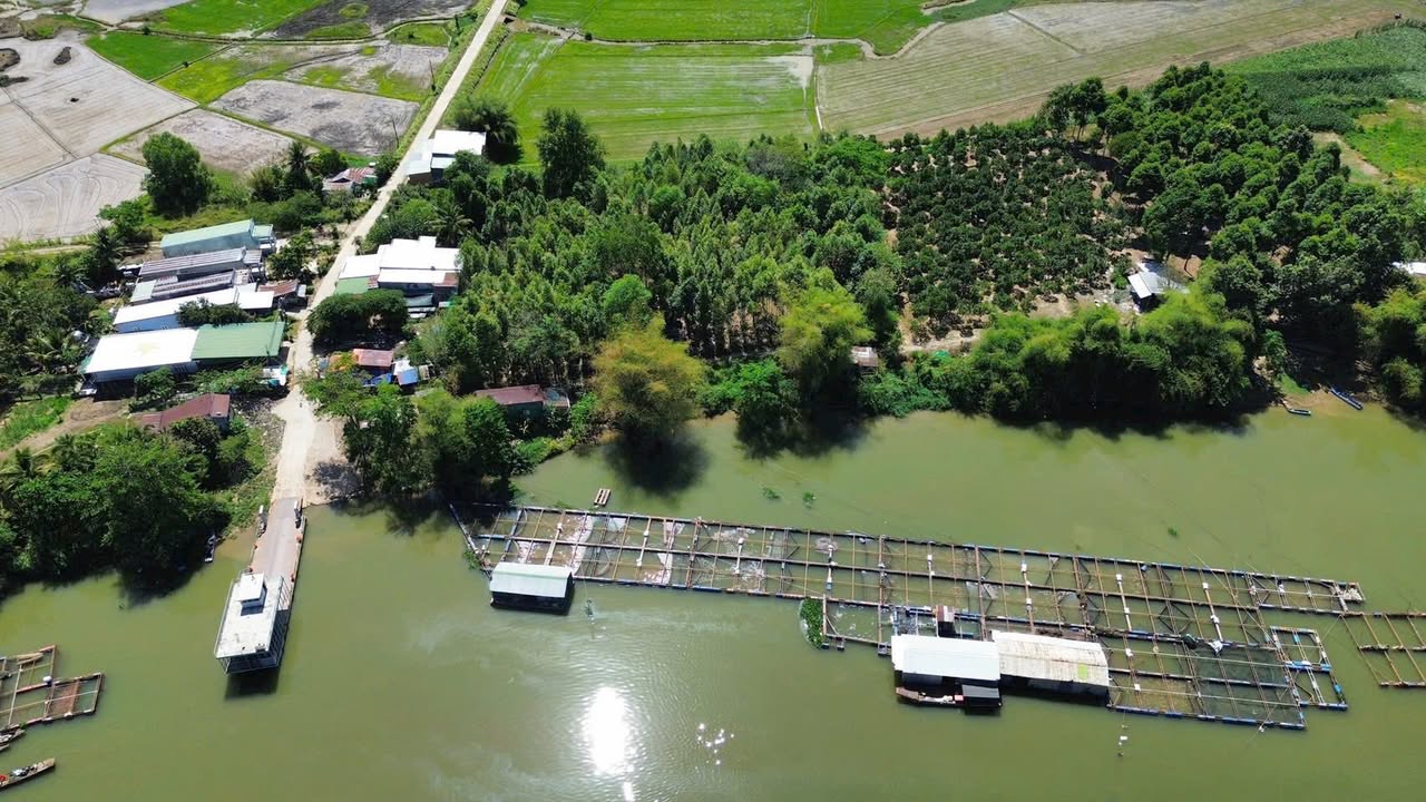 Farm 3300m² Đồng Nai - View Sông VIP, Sổ Đỏ, Giá 1.65 Tỷ