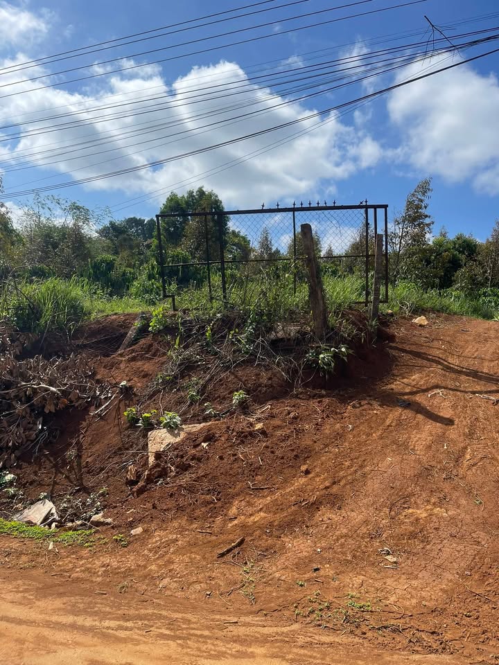 Đất Sào Đắk Mil 2800m² - Mặt Tiền Bê Tông 35m - Giá 2.3 Tỷ