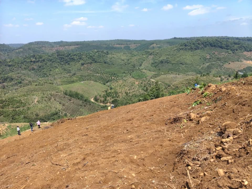 Đất nền Lộc Bắc Bảo Lâm 10.000m² 1.45 tỷ - Sổ đỏ chính chủ