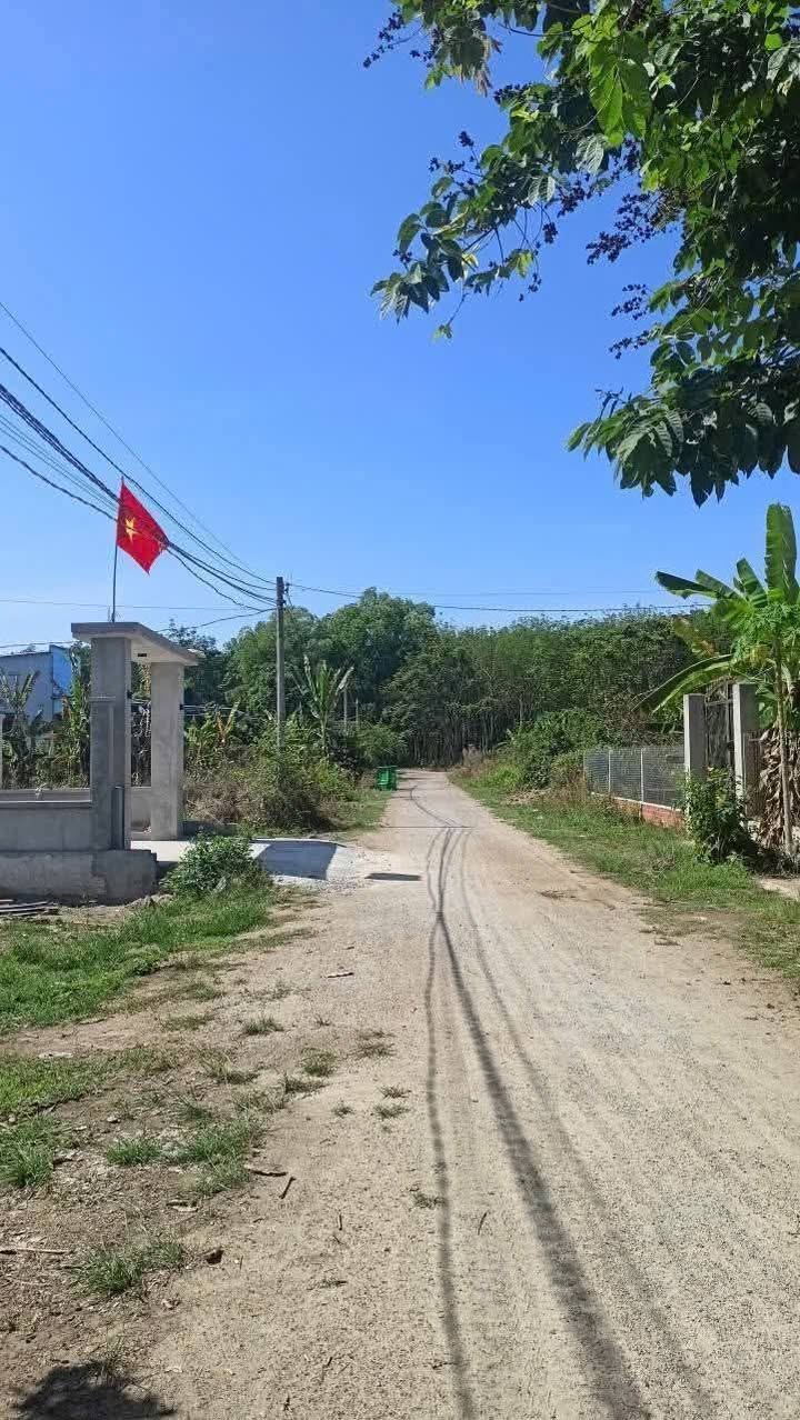 Đất Vườn Phú Giáo 960m² - Sẵn Sàng Xây Tổ Ấm An Nhiên