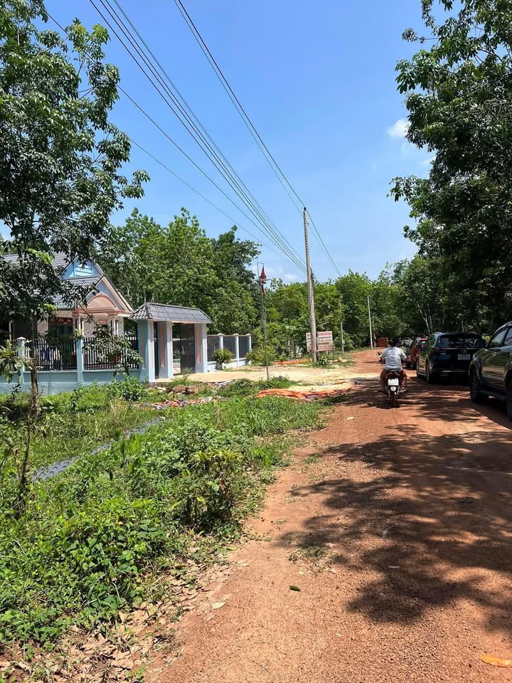 Đất Nền An Bình Dĩ An 300m² - Sổ Vuông Vứt, Giá Tốt