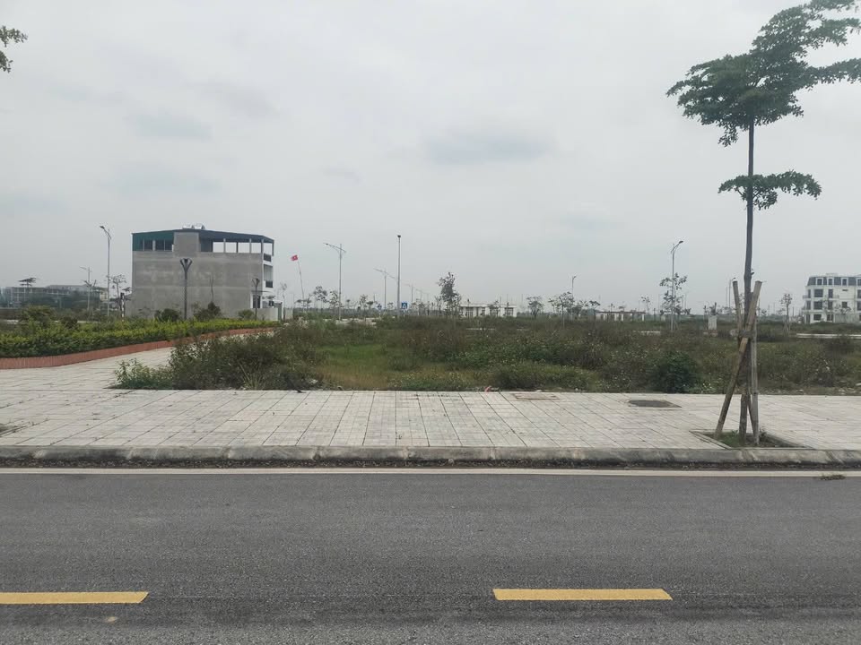 Bán Đất KĐT Tân Thanh Elite 100m² Hướng Nam - Giá 2.2 Tỷ