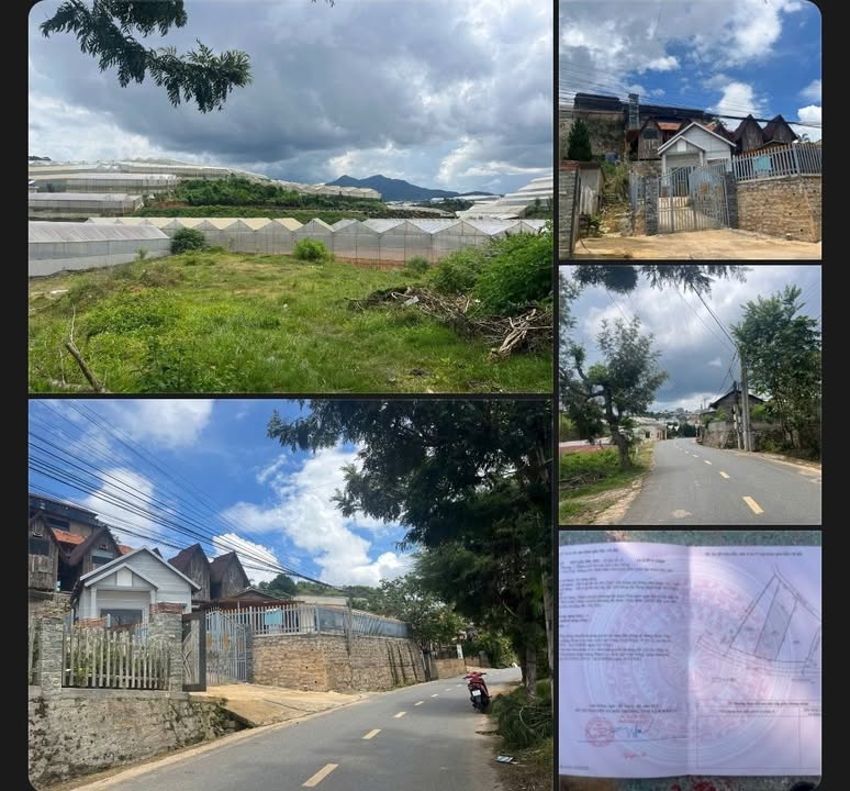 Đất Mặt Tiền Đa Phú, Đà Lạt 549m² - Sẵn Sàng Xây Dựng Homestay/Nghỉ Dưỡng