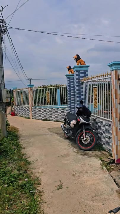 Đất Thổ Cư 100m² Giá Rẻ 240 Triệu Tại Chợ Gạo, Tiền Giang - Thoáng Mát