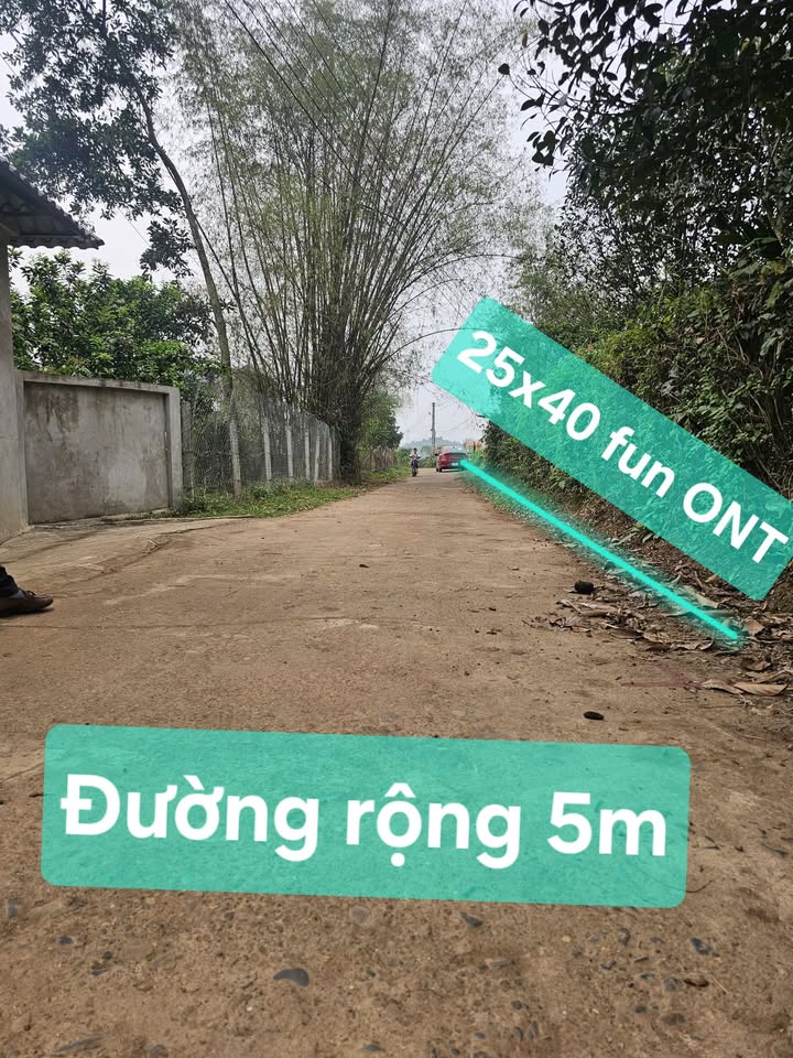 Đất nền Phú Thọ 1000m² - Sổ đỏ thổ cư, gần QL 12B