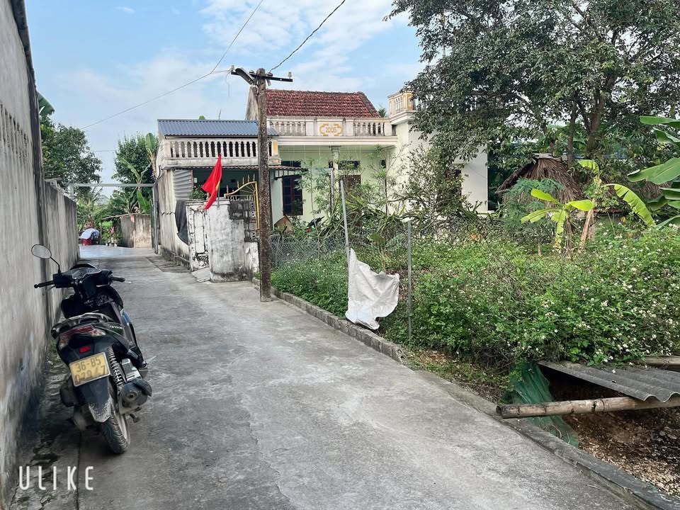 Đất nền Thọ Xuân - 200m² - Đường ô tô - Giá chỉ 3xx triệu