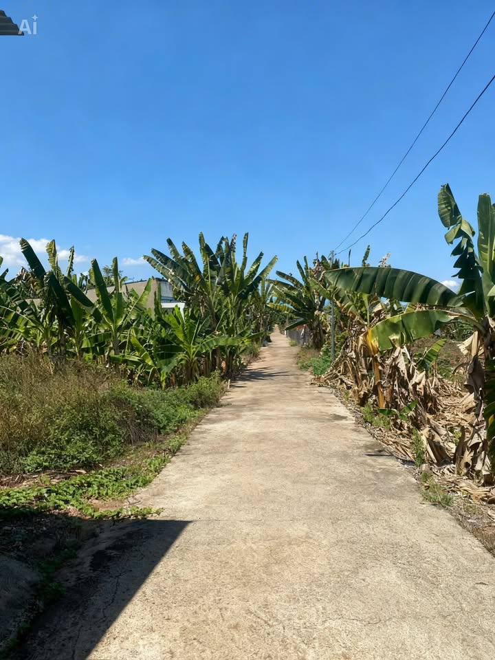 Đất Trảng Bom 120m² Full Thổ Cư - Gần UBND Xã Thanh Bình - Giá 6xx Triệu