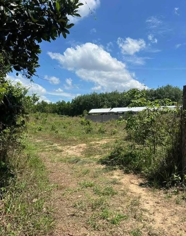 Đất Vườn 814m² Thổ Cư 100m² Giá 1.85 Tỷ Tại Tân Triều, Vĩnh Cửu