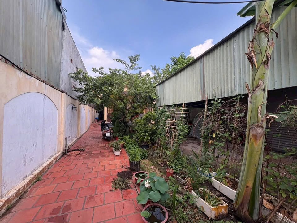 Nhà mặt tiền Trương Quyền Tân Mai 288m² 15 tỷ, ô tô vào