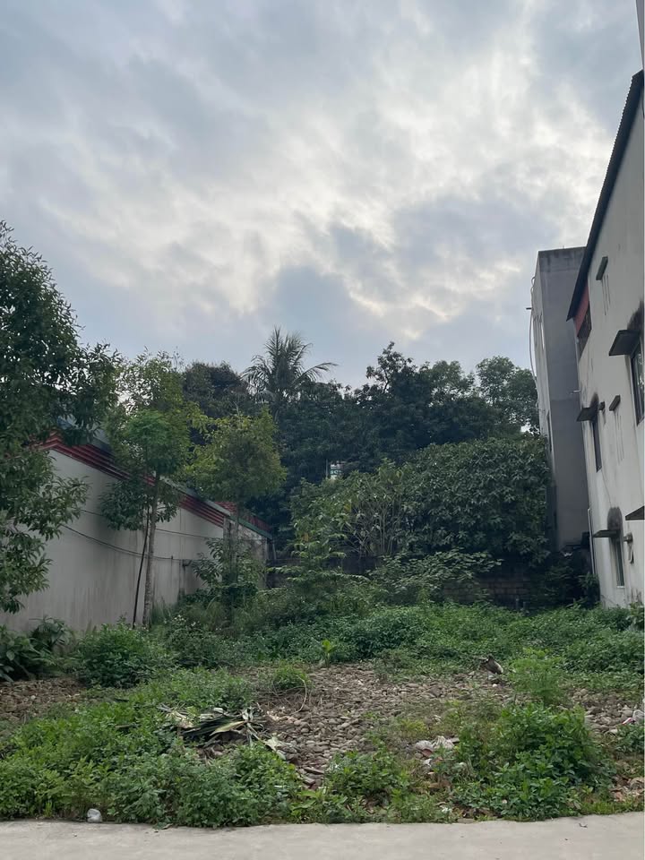 Mặt Phố Nguyễn Bính, TP. Thái Nguyên - Đất Vàng 553m² Kinh Doanh Đa Ngành