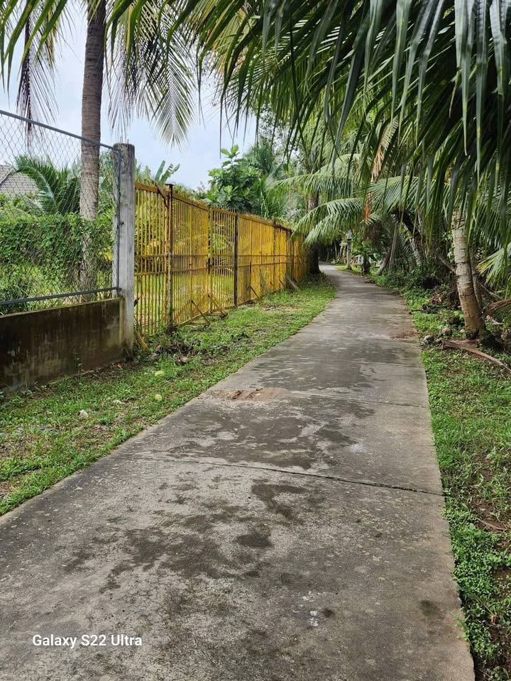 Bán Đất Vườn Dừa 3000m² Mặt Tiền Lộ, Bình Đại, Bến Tre - Sẵn Sàng Kinh Doanh