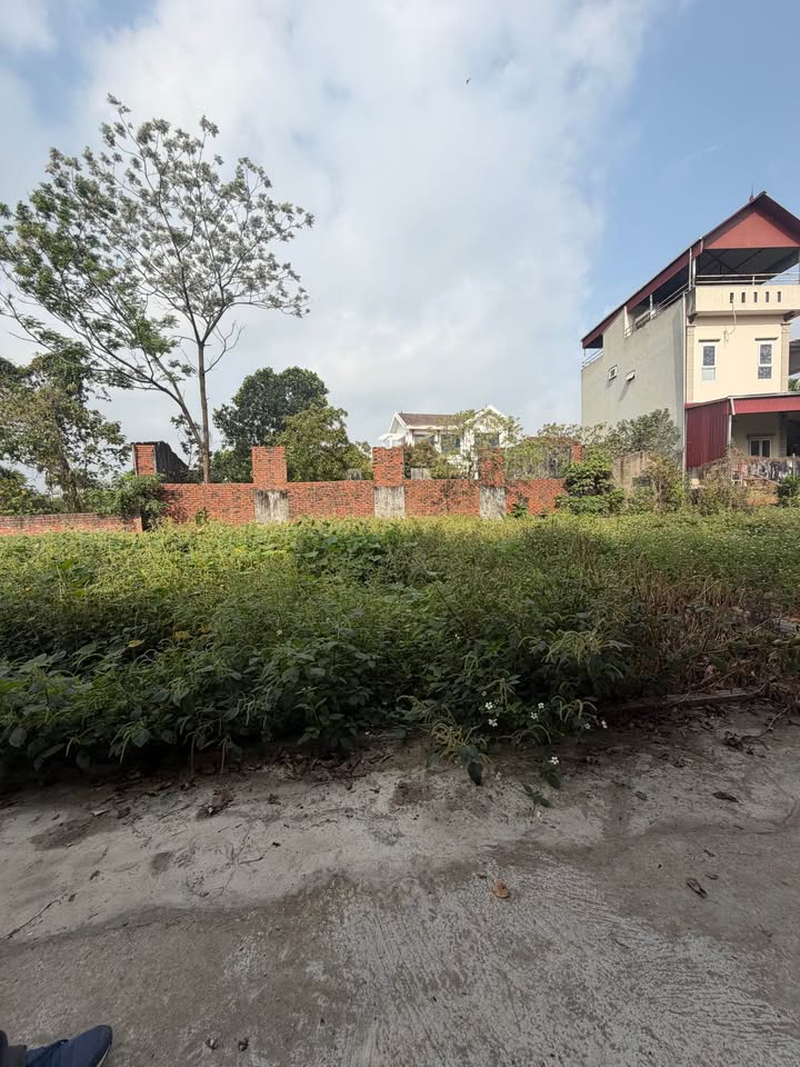 Đất nền Phúc Thọ 44m² 1.x tỷ - Sổ đỏ chính chủ bán gấp