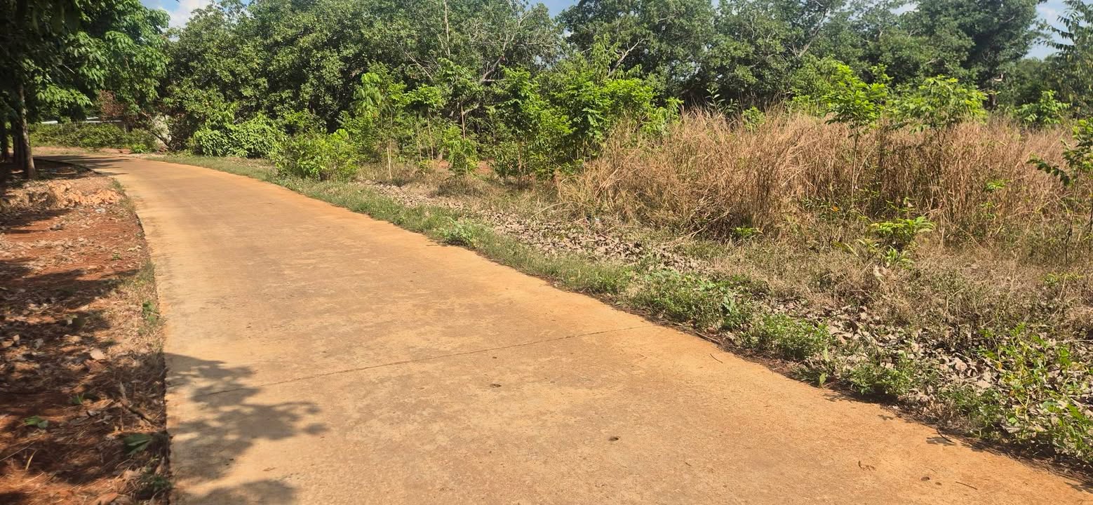 Bán Gấp Đất Đỏ Đồng Xoài 1800m² - Mặt Tiền Đường Betong 20m