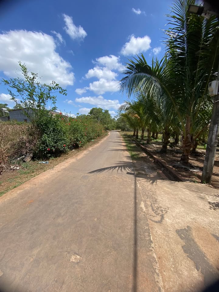 Bán Đất 700m² Thôn 3 Ea Sô, Đắk Lắk - Giá 500 Triệu