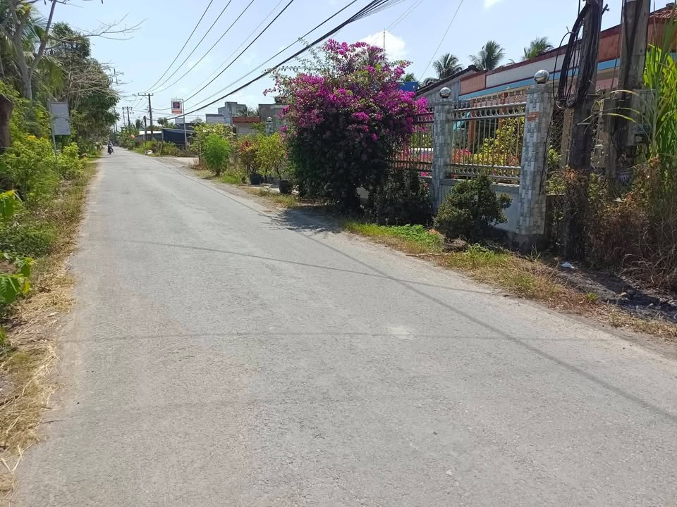 Đất Nền Mặt Tiền Huyện Lộ 20, Gò Công Tây - 318m² Giá 800 Triệu