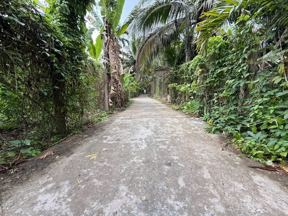 Nhà vườn Mỹ Tho 468m² giá 450 triệu - Giá tốt hiếm có