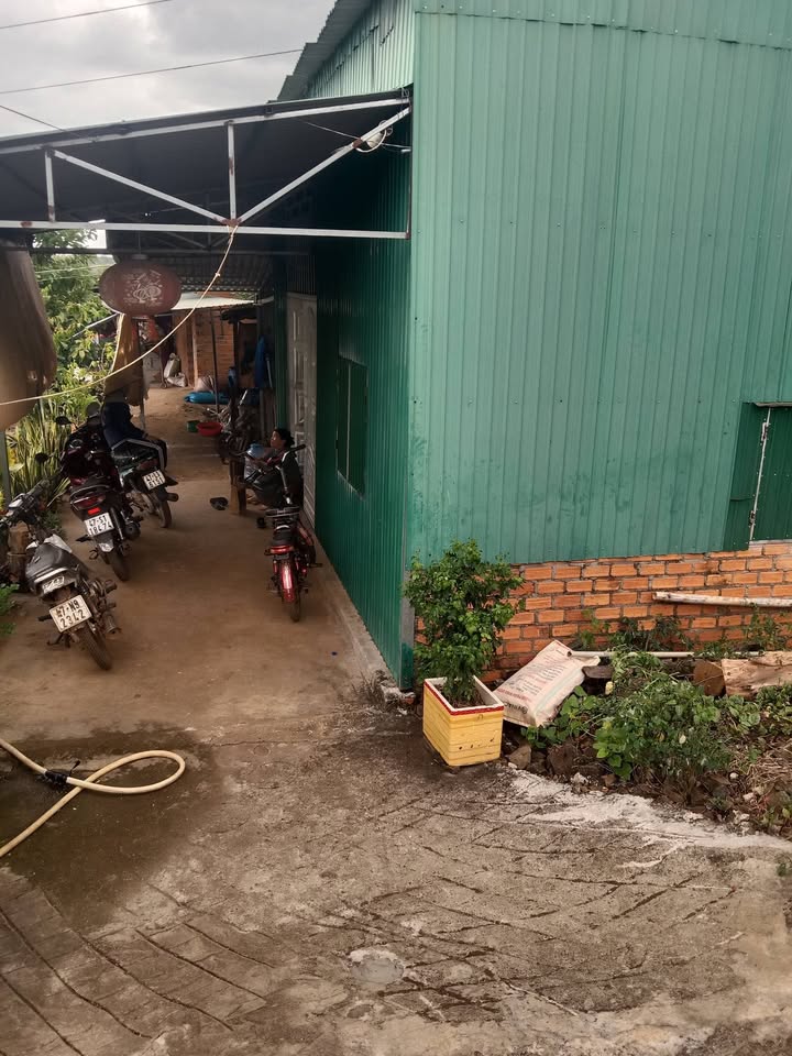 Bán đất farm 10.000m² tại Buôn Đôn, Đắk Lắk - Vườn tiêu kinh doanh, cà phê tơ