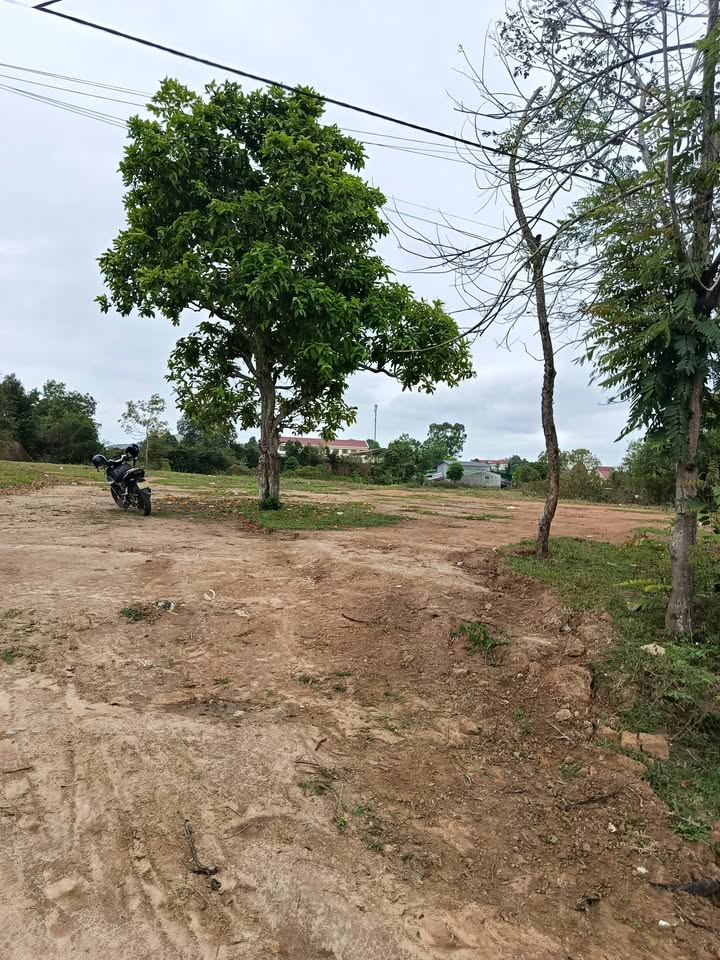 Bán Đất 1600m² Xã Cư Pui, Krông Bông - Sổ Đỏ Sẵn Sàng, Giá Đầu Tư