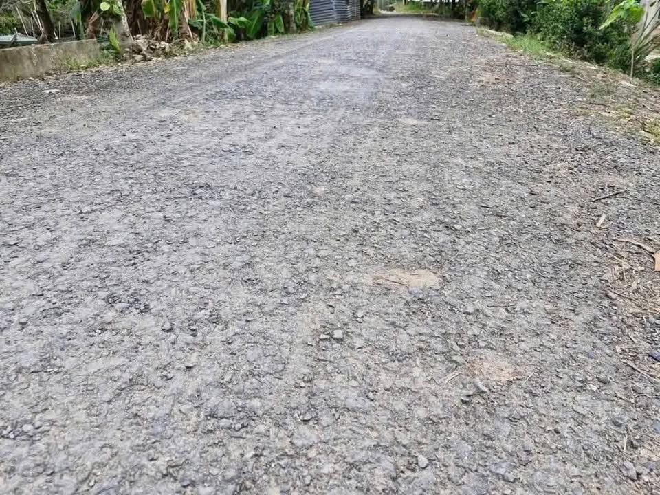 Đất ruộng Mỹ Long Cao Lãnh 6.500m² 2,34 tỷ - Sổ đỏ chính chủ