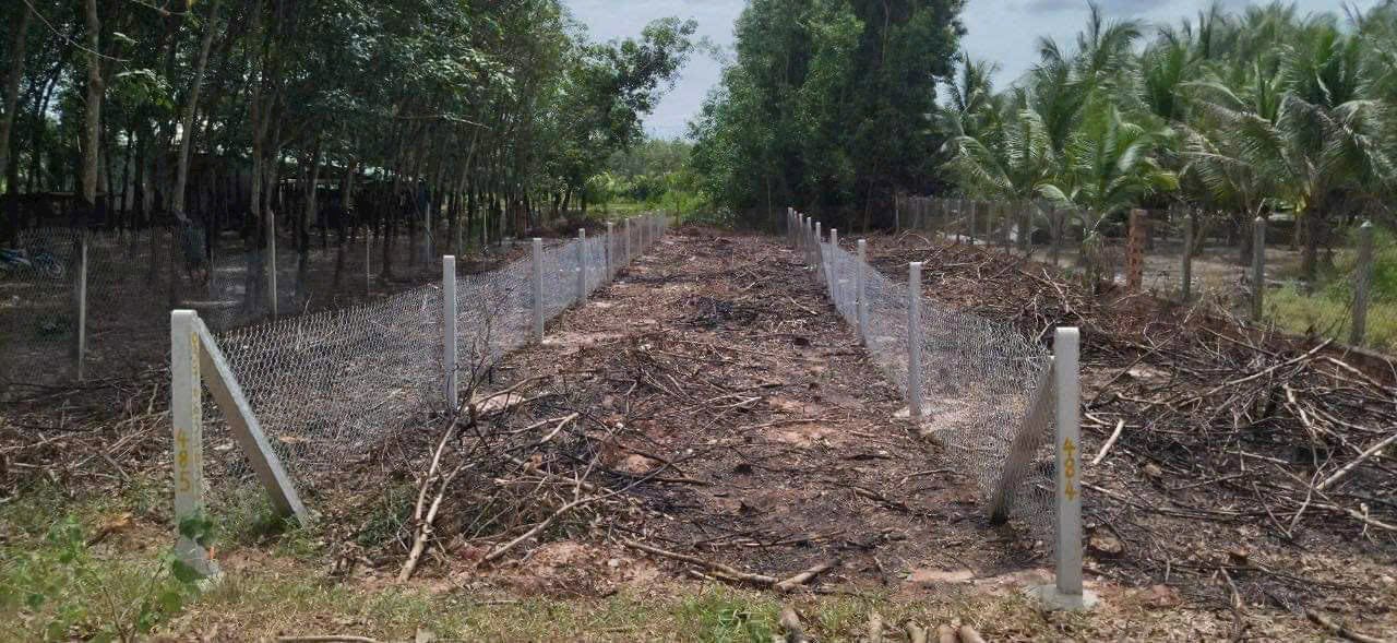 Đất Mặt Tiền Đường Nhựa Tân Biên, Tây Ninh - 202m² Giá 270 Triệu