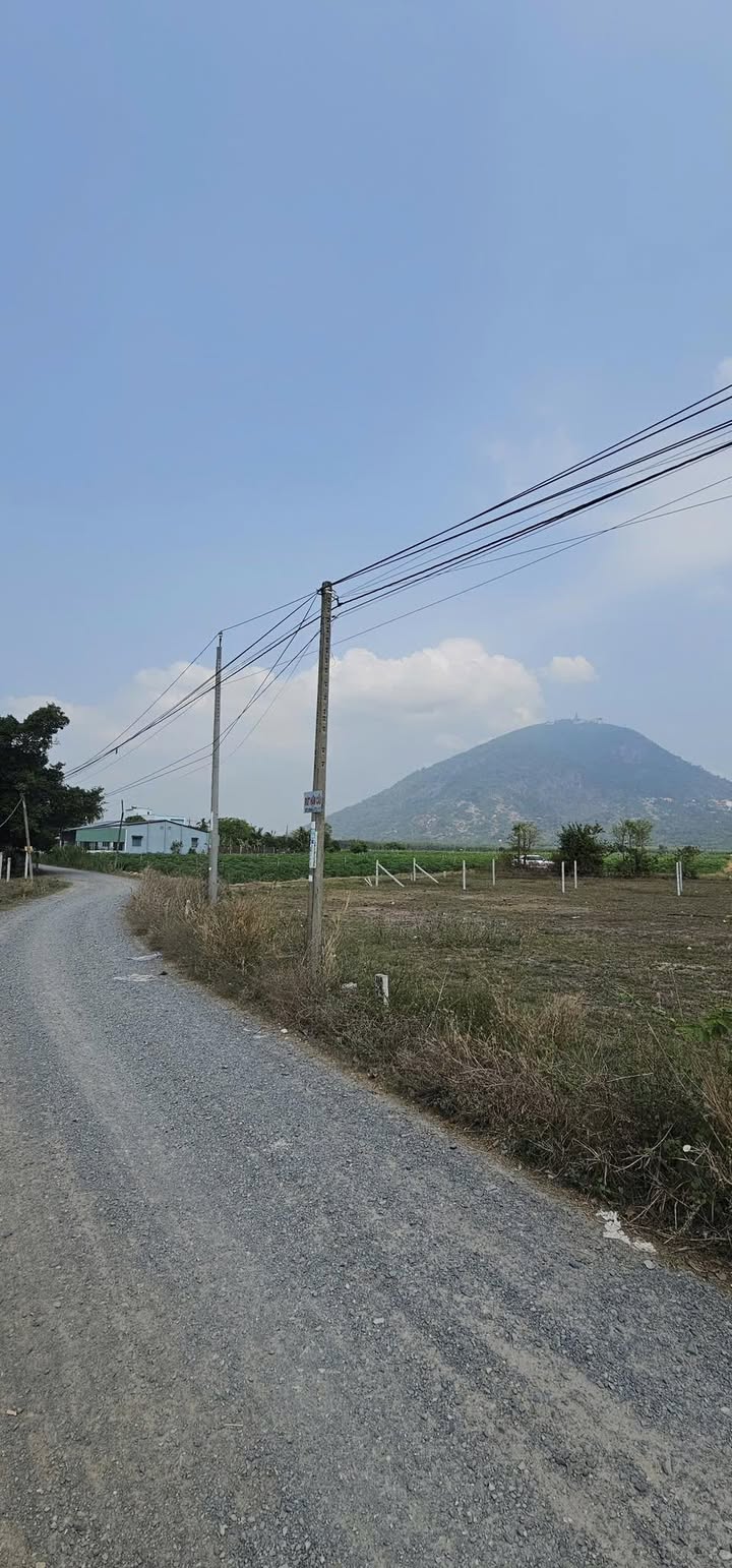 Bán Gấp Đất Xã Phan Dương Minh Châu 200m² - Sổ Hồng Sẵn Sàng