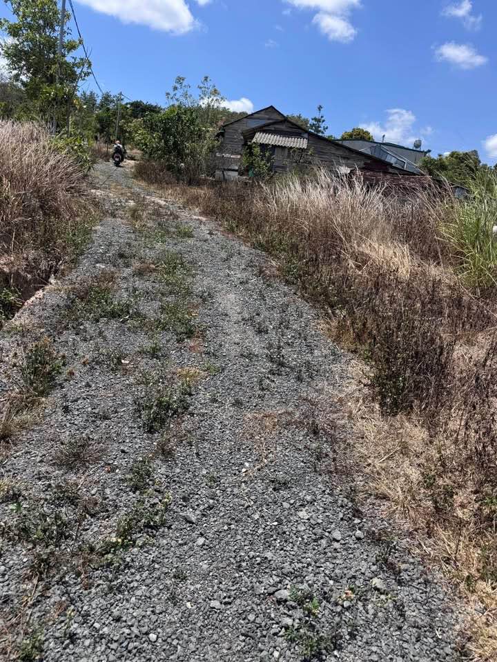 Bán Đất Nền Ea Drăng, Đắk Lắk - 296m² Giá 345 Triệu, Gần QL14