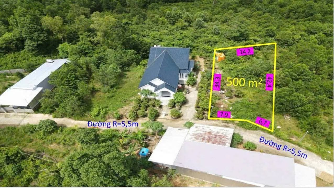 Đất Thương Mại Dịch Vụ Phú Quốc 500m² - Sổ Hồng Sẵn Sàng