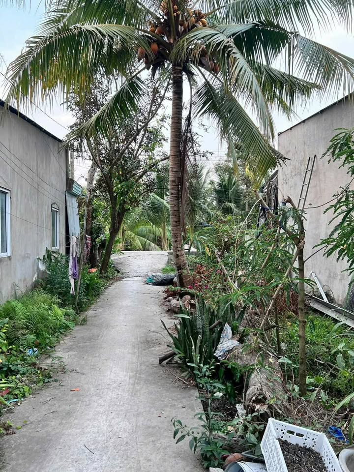 Bán Nền Đất 218m² Nở Hậu Đẹp - KV5 Cái Răng, Cần Thơ - Giá 436 Triệu