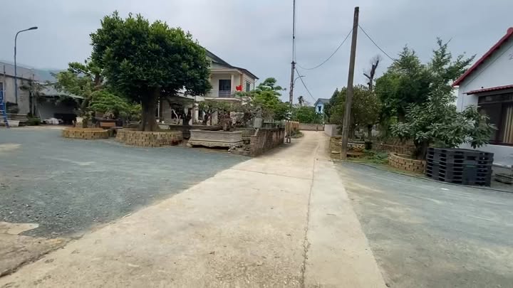 Bán Đất Vườn 880m² Quốc Oai - Về Ở Ngay, Giá Tốt