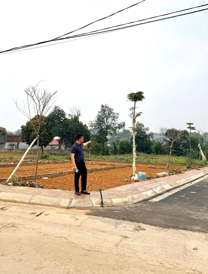 Đất Nền Phú Cát 100m² - Mặt Tiền Trục Chính, Sổ Sẵn, Giá Chỉ 2-3 Tỷ