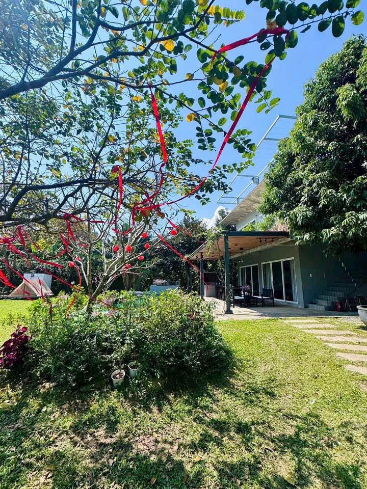 Đất Vàng 1200m² Mặt Tiền Lớn - Kinh Doanh Du Lịch Hải Vân, Đà Nẵng