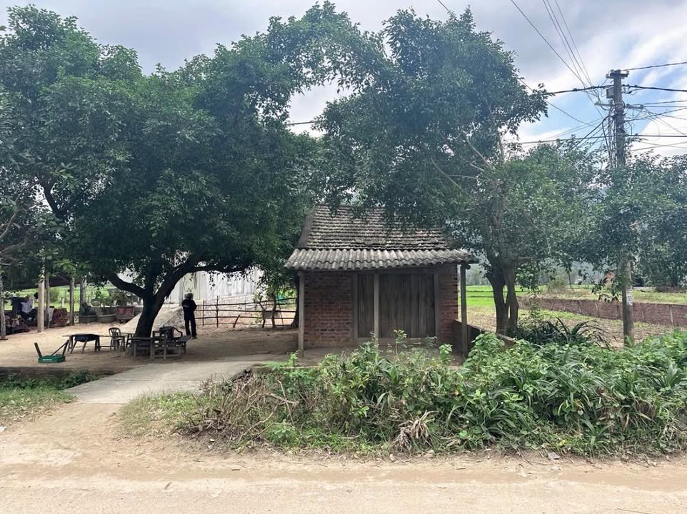 Bán đất thổ cư 200m² tặng nhà nhỏ, sổ sẵn, giá chỉ 5 tỷ tại Phù Cát, Bình Định